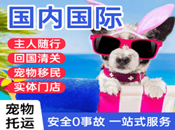 兰州机场邮寄国际宠物托运 【国